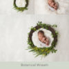 016-Botanical Wreath - Newborn Baby Digital Background Backdrop