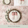 018-Moss Floral Basket - Newborn Baby Digital Background Backdrop