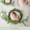 021-Vine Basket - Newborn Baby Digital Background Backdrop