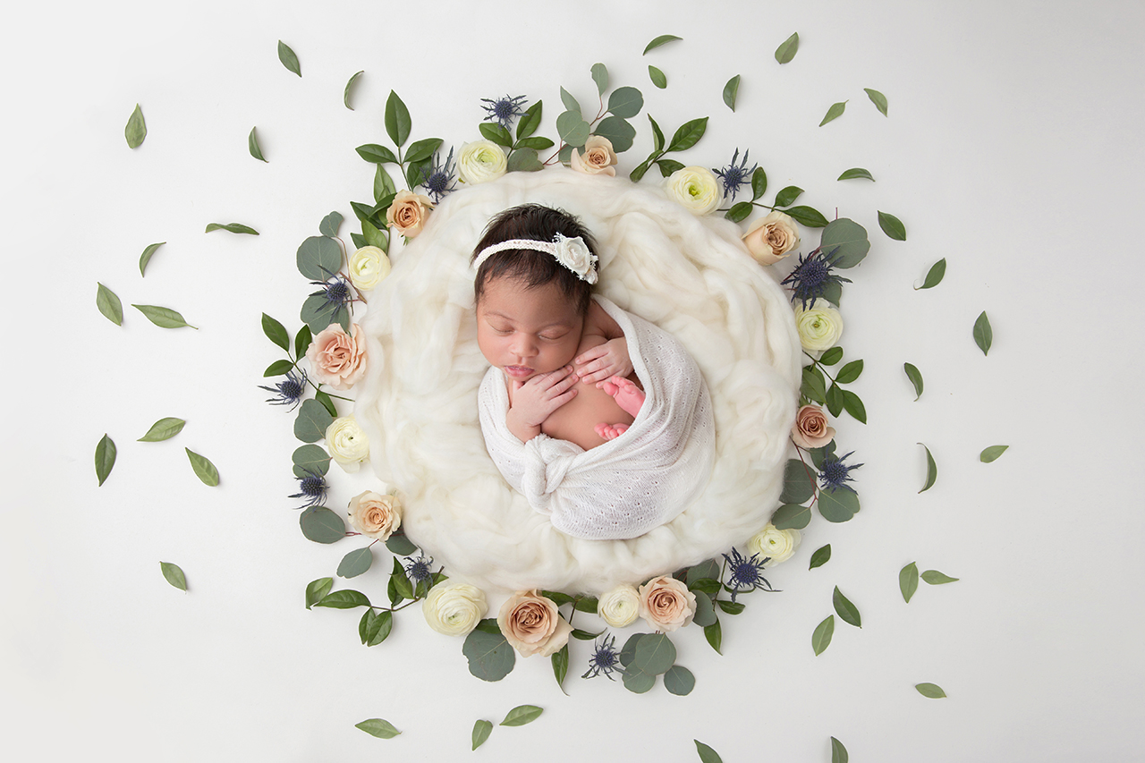 Newborn Digital Backdrops and Backgrounds | for photographers