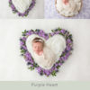 Purple Heart_pinterest_digital-backdrop-newborn
