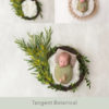 Tangent Botanical_pinterest_digital-backdrop-newborn
