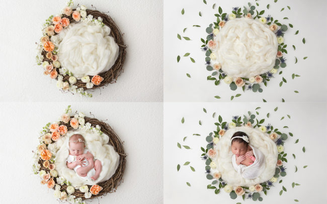 example-newborn-backdrop-composite2