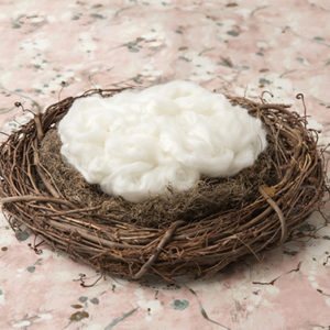 newborn_digital_backdrop-023