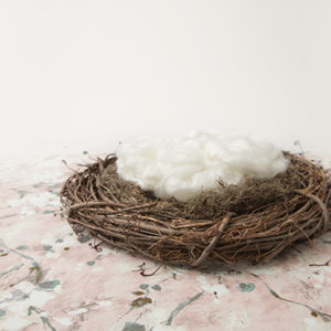 newborn_digital_backdrop-024