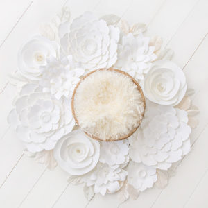 newborn_digital_backdrop-035