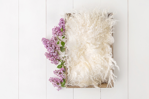 Newborn Digital Backdrop 038 - Lilac Dreams