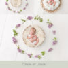032-Circle of Lilacs digital newborn backdrop