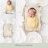 033-White on White digital newborn backdrop