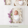 038-Lilac Dreams digital newborn backdrop
