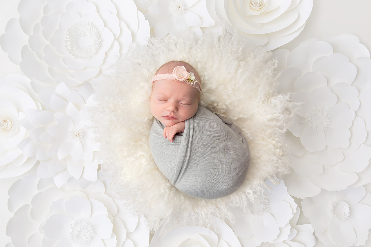 Newborn Digital Backdrops And Backgrounds For Photographers