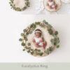 Newborn Digital Backdrop 043 - Eucalyptus Ring - Image 2