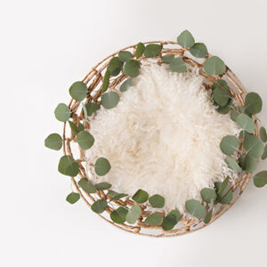 Newborn Digital Backdrop 043 - Eucalyptus Ring