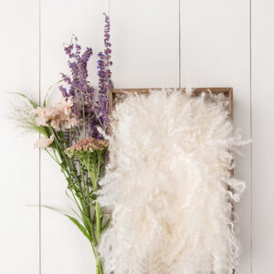 Newborn Digital Backdrop 046 - Spring Bouquet