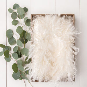Newborn Digital Backdrop 052 - Eucalyptus Dreams