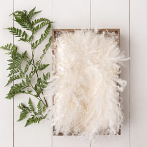 Newborn Digital Backdrop 060 - Little Leaves