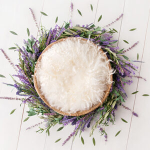 Newborn Digital Backdrop 062 - Lavender Dreams