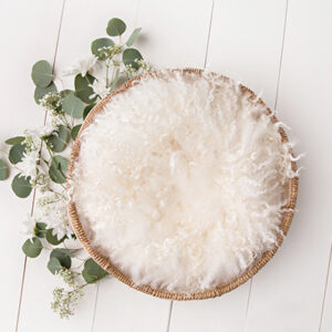 Newborn Digital Backdrop 064 - Neutral Bouquet