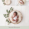 Newborn Digital Backdrop 064 - Neutral Bouquet - Image 2