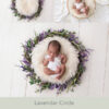 Newborn Digital Backdrop 067 - Lavender Circle - Image 2