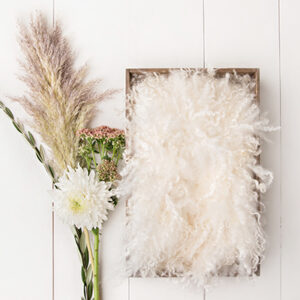 Newborn Digital Backdrop 048 - Beautiful Bouquet