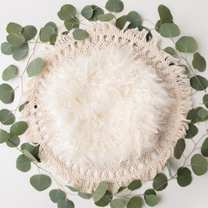 Newborn Digital Backdrop 051 - Eucalyptus Boho