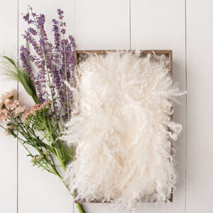 Newborn Digital Backdrop 056 - Lilac Blush Spray