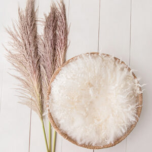Newborn Digital Backdrop 065 - Sweet Grass