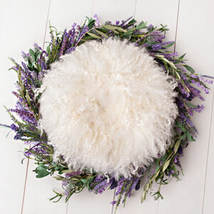 Newborn Digital Backdrop 067 - Lavender Circle