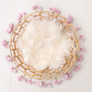 Newborn Digital Backdrop 068 - Cherry Blossom Bloom