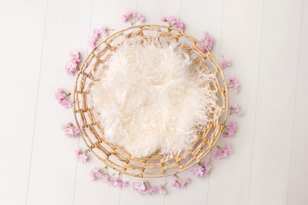 Newborn Digital Backdrop 068 - Cherry Blossom Bloom