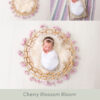 Newborn Digital Backdrop 068 - Cherry Blossom Bloom - Image 2