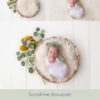 Newborn Digital Backdrop 040 - Sunshine Bouquet - Image 2