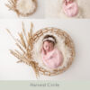 Newborn Digital Backdrop 041 - Harvest Circle - Image 2