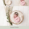 Newborn Digital Backdrop 042 - Sweet Fields - Image 2