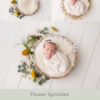Newborn Digital Backdrop 045 - Flower Sprinkle - Image 2