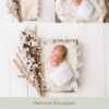 Newborn Digital Backdrop 047 - Harvest Bouquet - Image 2