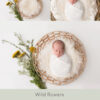 Newborn Digital Backdrop 053 - Wild Flowers - Image 2