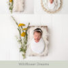 Newborn Digital Backdrop 054 - Wildflower Dreams - Image 2