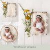 Newborn Digital Backdrop 057 - Wildflower Dreams Vertical - Image 2