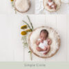 Newborn Digital Backdrop 059 - Simple Circle - Image 2