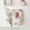 Newborn Digital Backdrop 063 - Olive Spray - Image 2