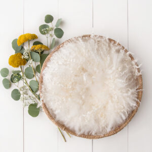 Newborn Digital Backdrop 040 - Sunshine Bouquet