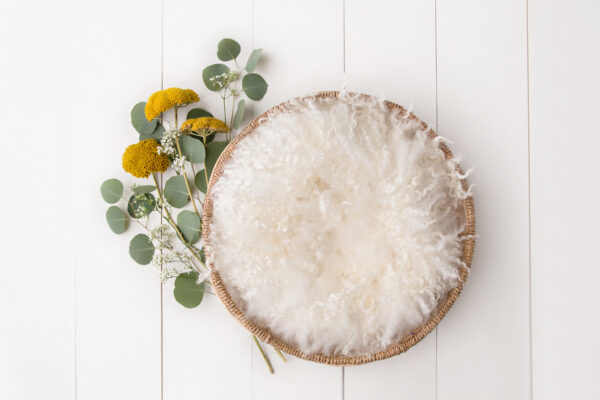 Newborn Digital Backdrop 040 - Sunshine Bouquet