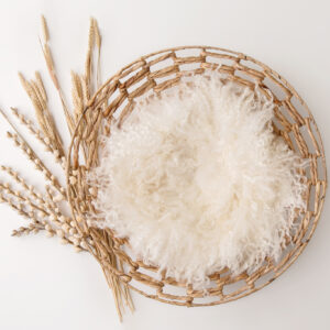 Newborn Digital Backdrop 041 - Harvest Circle