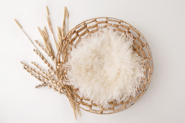 Newborn Digital Backdrop 041 - Harvest Circle