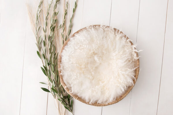 Newborn Digital Backdrop 042 - Sweet Fields