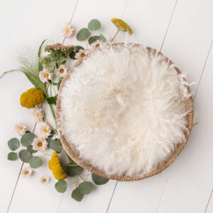 Newborn Digital Backdrop 045 - Flower Sprinkle