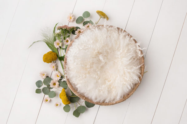Newborn Digital Backdrop 045 - Flower Sprinkle