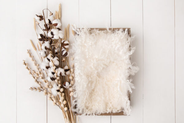 Newborn Digital Backdrop 047 - Harvest Bouquet